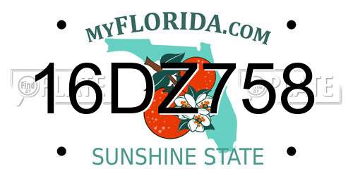 16DZ758 Florida License Plate