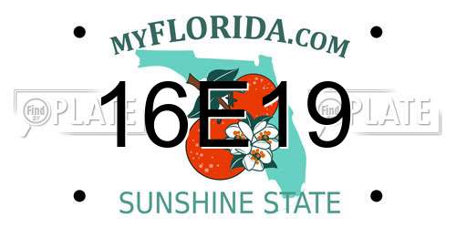 16E19 Florida License Plate