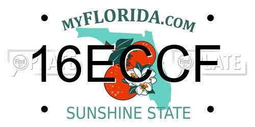 16ECCF Florida License Plate