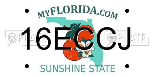 16ECCJ Florida License Plate