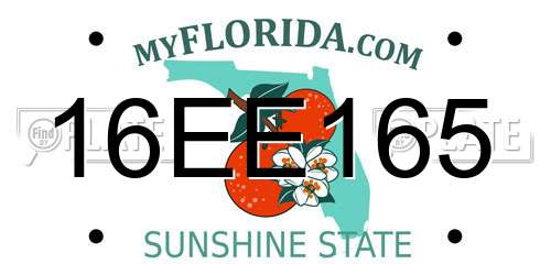 16EE165 Florida License Plate