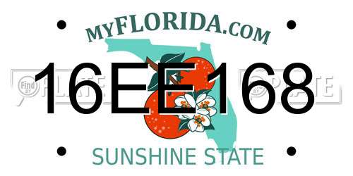 16EE168 Florida License Plate