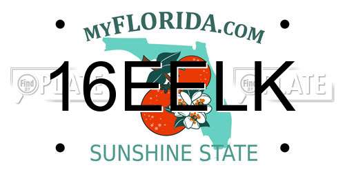 16EELK Florida License Plate