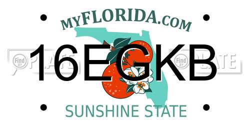 16EGKB Florida License Plate