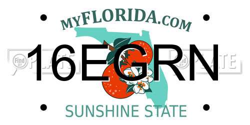 16EGRN Florida License Plate