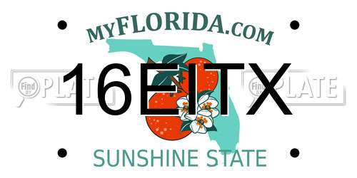 16EITX Florida License Plate