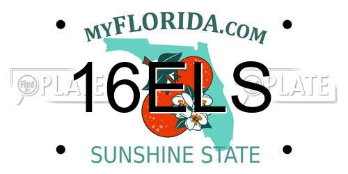16ELS Florida License Plate