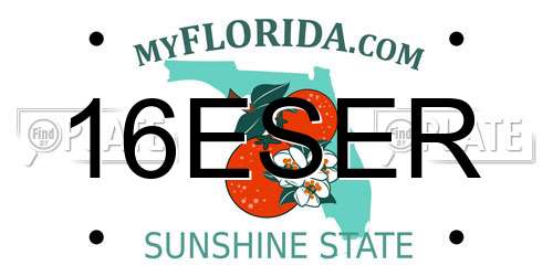 16ESER Florida License Plate