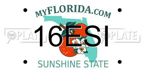 16ESI Florida License Plate