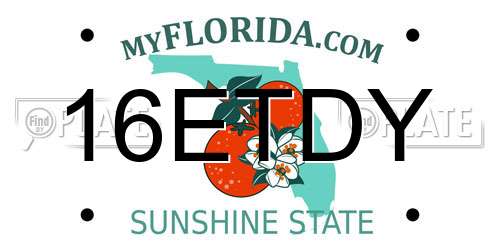 16ETDY Florida License Plate