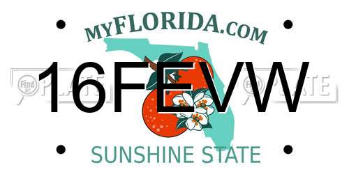 16FEVW Florida License Plate