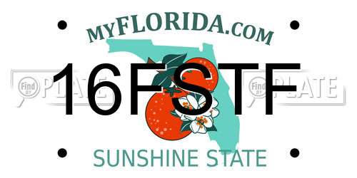 16FSTF Florida License Plate