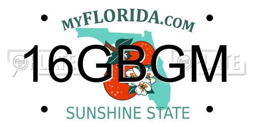 16GBGM Florida License Plate