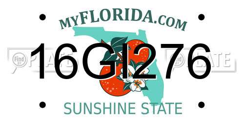 16GI276 Florida License Plate