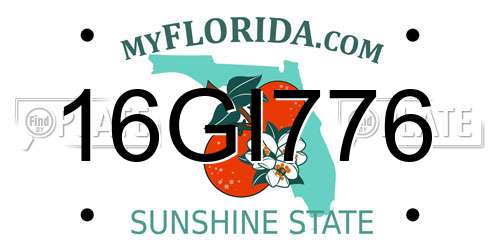 16GI776 Florida License Plate