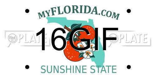 16GIF Florida License Plate