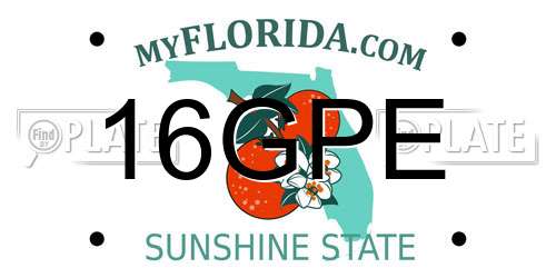 16GPE Florida License Plate