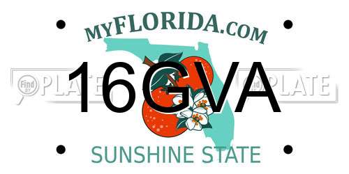 16GVA Florida License Plate