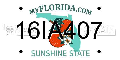 16IA407 Florida License Plate