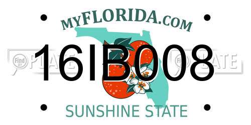 16IB008 Florida License Plate