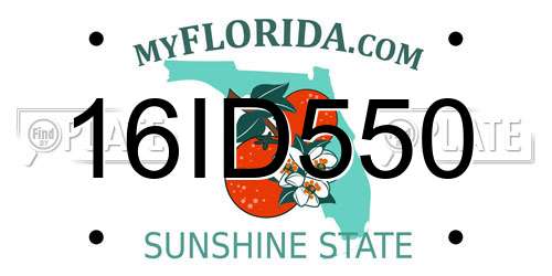 16ID550 Florida License Plate