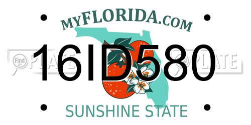 16ID580 Florida License Plate