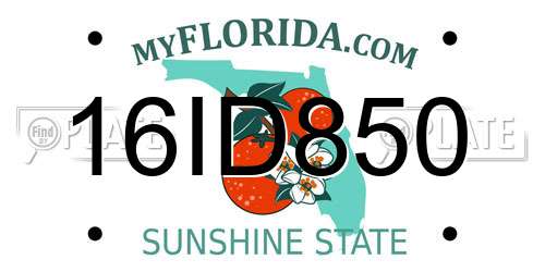 16ID850 Florida License Plate