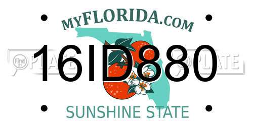 16ID880 Florida License Plate