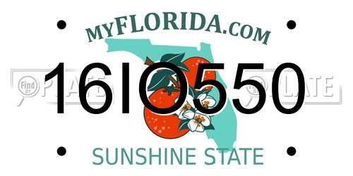 16IO550 Florida License Plate