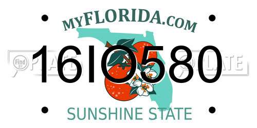 16IO580 Florida License Plate