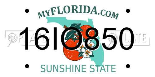16IO850 Florida License Plate
