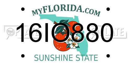 16IO880 Florida License Plate