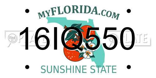 16IQ550 Florida License Plate