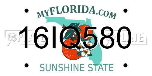 16IQ580 Florida License Plate