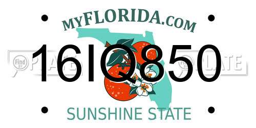 16IQ850 Florida License Plate