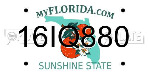 16IQ880 Florida License Plate