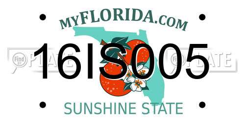 16IS005 Florida License Plate