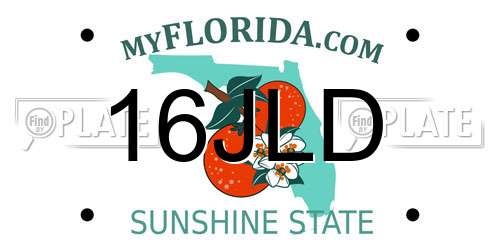 16JLD Florida License Plate