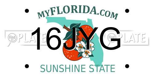 16JYG Florida License Plate