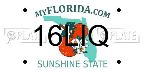 16LIQ Florida License Plate