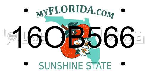 16OB566 Florida License Plate
