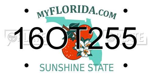 16OT255 Florida License Plate