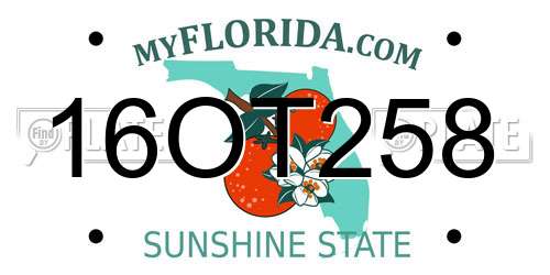 16OT258 Florida License Plate