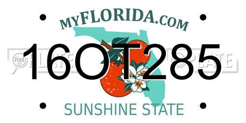 16OT285 Florida License Plate