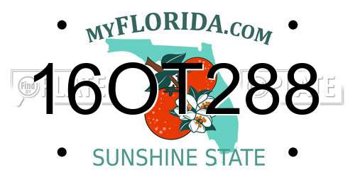 16OT288 Florida License Plate