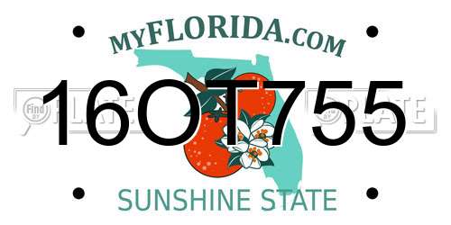16OT755 Florida License Plate