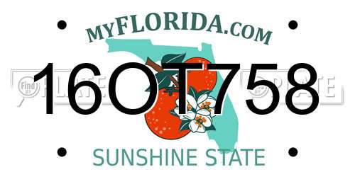 16OT758 Florida License Plate