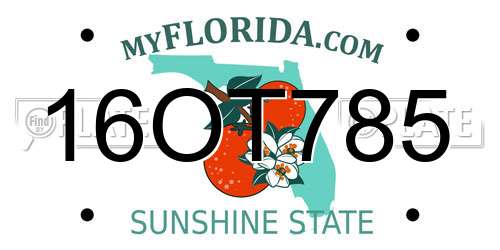 16OT785 Florida License Plate