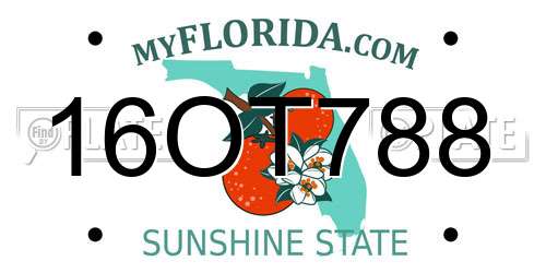 16OT788 Florida License Plate