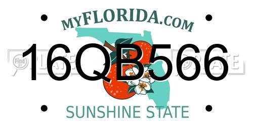 16QB566 Florida License Plate